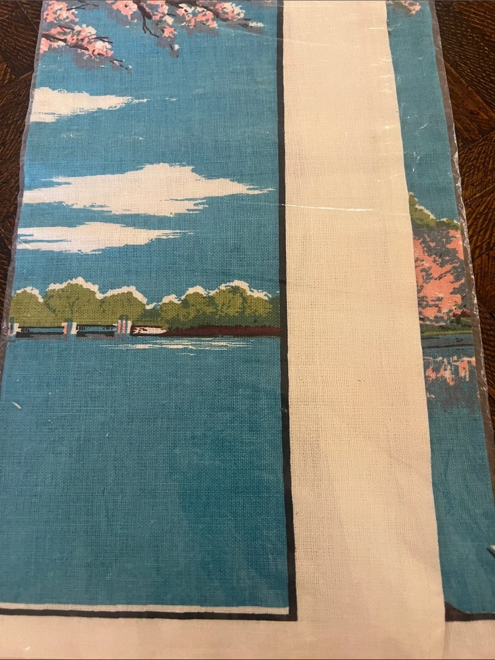 Amazing NIP 50’s Vintage-Style Washington Monument Kitchen Towel - Blue/Pink